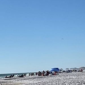 Meet your Posher, Lynne